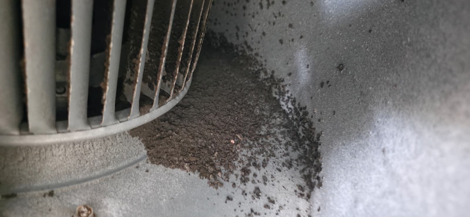 Dust build up on an air handler blower wheel in an inner-Melbourne home