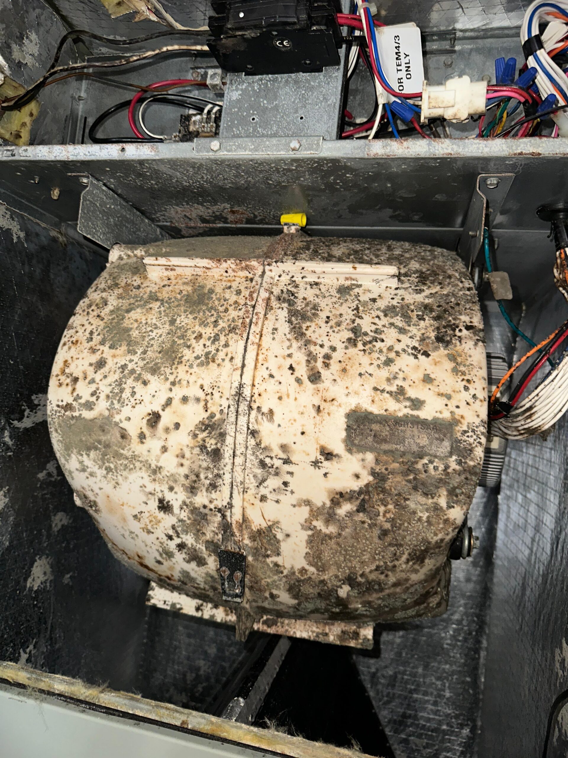 Mouldy HVAC component in Cronulla